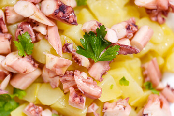 Octopus and potato salad, traditional mediterranean food