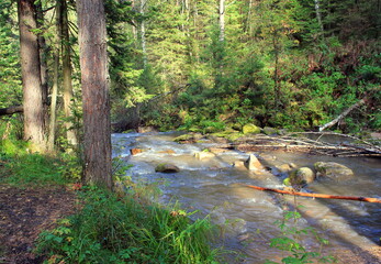 Beautiful mountain river Belokurikha. Altai region. Russia
The Belokurikha River flows in the Smolensk region of the Altai Territory through a mountain gorge. A very popular tourist destination.