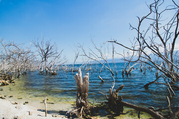 Paisajes & Medio Ambiente