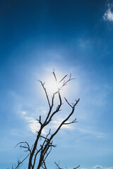 Paisajes & Medio Ambiente