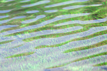 Water