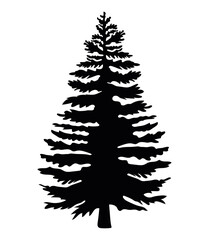 Obraz premium oak silhouette isolated