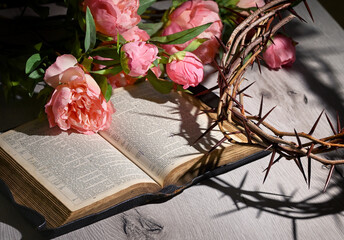 Open old Bible, Peony  and crown of thorns - 427479478