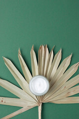 Jar of cosmetic cream with leaf palm branch on dark olive background. Flat lay, copy space