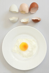 We are the same. Fried egg concept Of Bullying, Discrimination, Racism