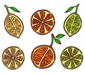 Set of fresh citrus fruit, lemon, orange, lime. Jpeg illustration for cafe, restaurant, menu, cards, prints, stickers