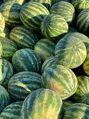 a lot of green watermelons in a heap for sale in summer on a sunny day