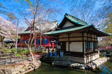 Fototapeta premium 東京都 春の井の頭恩賜公園 井の頭弁財天