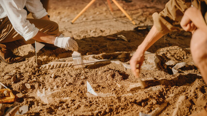 Archaeological Digging Site: Two Great Paleontologists Cleaning Newly Discovered of Dinosaur. Archeologists on Excavation Site Discover Fossil Remains of New Species Skeleton. Close-up Focus on Hands