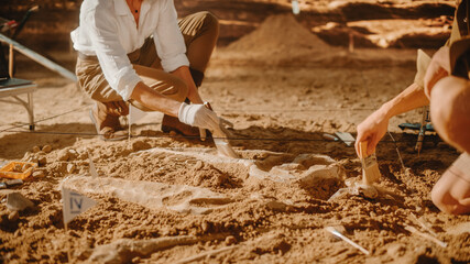 Archaeological Digging Site: Two Great Paleontologists Cleaning Newly Discovered of Dinosaur....