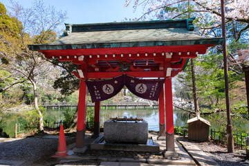 東京都 春の井の頭恩賜公園 井の頭弁財天 手水舎
