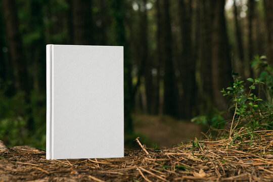 book with blank cover and empty cover perched in a forest