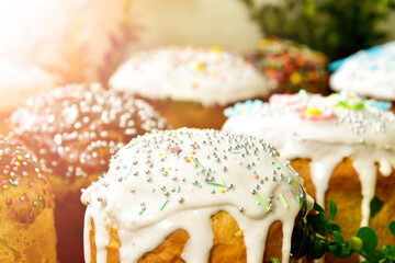 Kulich cake with young green sprigs, symbol of Traditional Russian, Ukraine Orthodox Easter