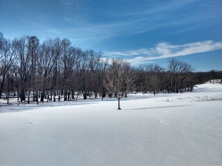 winter landscape with snow