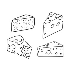 Piece of Cheese. a piece of cheese, vector sketch on a white background