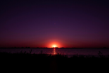 Obraz premium la palmera y la luna