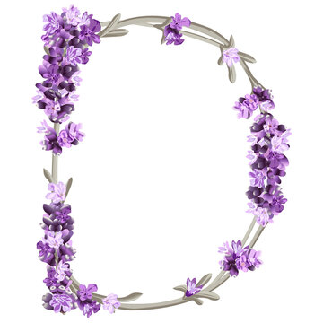 vector image of the capital letter D of the English alphabet in the form of lavender