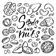 Naklejka na ściany i meble SEEDS AND NUTS MONOCHROME Food Sketch With Pistachio Almond Seed Walnut Hazelnut Cashew With Text Clip Art Vector Illustration Set For Print