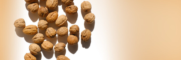 Walnuts. Seeds and nuts banner. Whole walnuts on a white background with a brown gradient. Healthy fats. A healthy snack.
