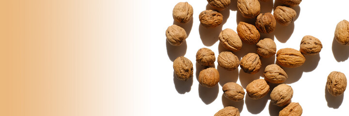 Walnuts.  nuts banner. Whole walnuts on a white background with a brown gradient. Healthy fats. A healthy snack.