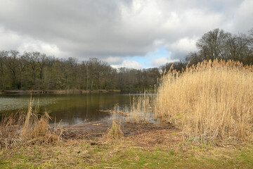  jungfernheidesee