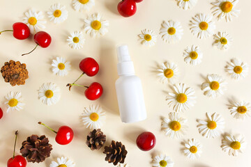 unbranded white plastic spray bottle, chamomiles flowers, cherry berries and fir cones on ivory background. Natural organic spa cosmetics and liquid antimicrobial spray concept. Flatlay, mockup style.