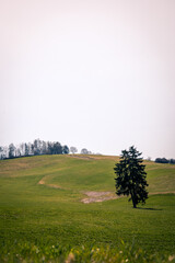Wide escape view over a small mountain range