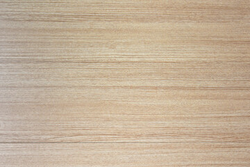 Texture of wood background closeup, Wood texture. Surface of wood background for design and decoration