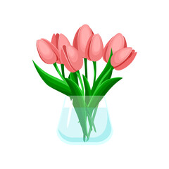 Bouquet pink tulips in a glass transparent vase. Vector illustration isolated on white background