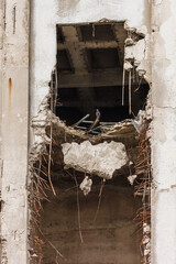 Destroyed industrial building. Background
