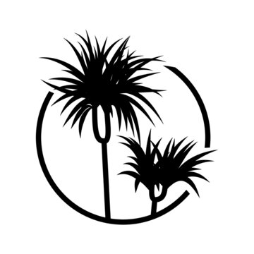 A plant in the circle, palm, dracena, potted plant, leaves in the circle, plant breeding, circle icon.