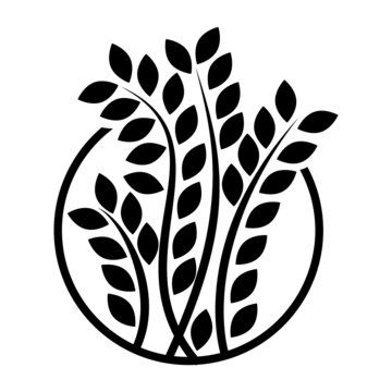 A plant icon, zamioculcas zamiifolia, plant inside the circle, flower logo, isolated element