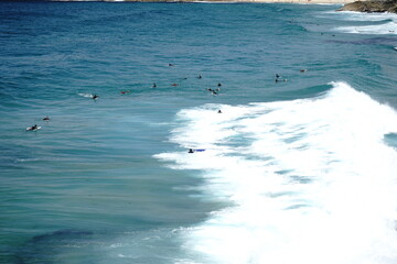 Surfers in the sea