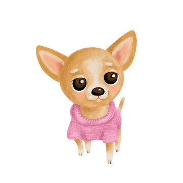 watercolor illustration Chihuahua dog in a pink sweater. hand painted on a white background. Cheerful, positive and festive sketch for poster, banner, print.