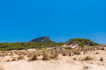Fototapeta na wymiar Hiking trail near Cala Mesquida beach on Mallorca island in the Mediterranean sea