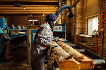 wooden board on the conveyor. people work on an automated sawmill. industrial enterprise for wood...