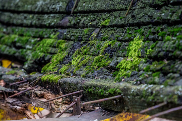 moss growing on old, burnt, wooden planks, traces of metal structures and old, rusty nails are visible, from a close distance