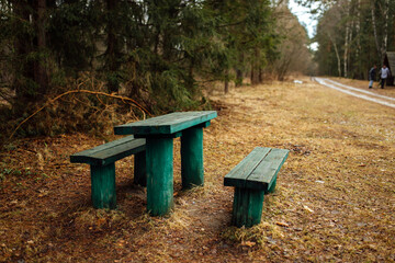 wooden bench on the river bank. a quiet secluded place in a deserted park in the bosom of nature. a place to relax in early spring in a forest park