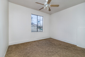 Bright empty room with carpet floor, molding and windows. Bright room, interiors.