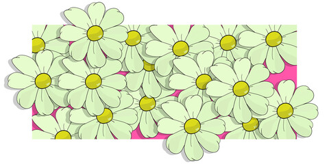 WHITE DAISY WALLPAPER.  Bellis Perennis plant desktop image. Refreshing card. Positive and cheerful banner of flowers, full of life. Nature, blossom group drawing. Petals on natural texture. © Tenebroso