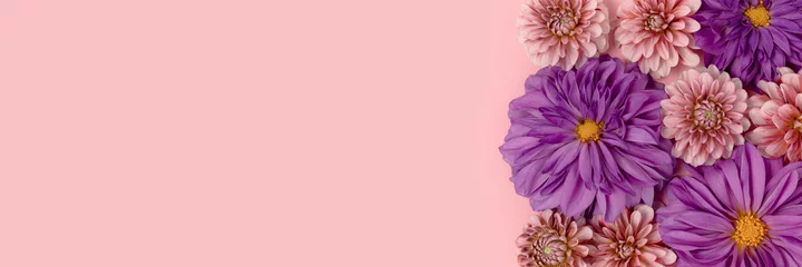 Wandcirkels plexiglas Pink and purple dahlia flowers texture with copyspace. Banner with festive springtime concept. © rorygezfresh