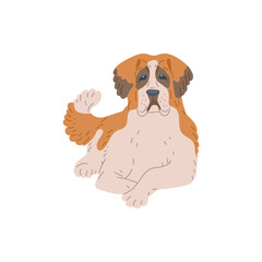 Dog of breed saint bernard, domestic animal, cute pet a vector illustration.