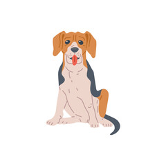 Beagle breed dog or puppy cartoon character, flat vector illustration isolated.