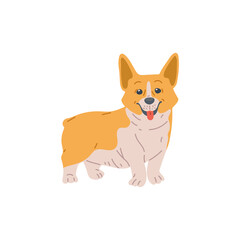 Cute dog Welsh Corgi cartoon character flat vector illustration isolated.