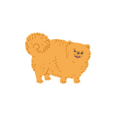 Pomeranian dog or puppy cartoon character, flat vector illustration isolated.