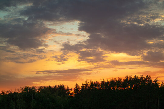 sunset sky over the forest ttrees and the field © venturus