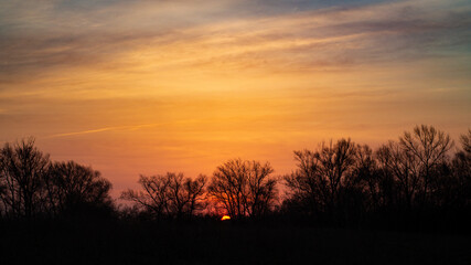 Fototapeta na wymiar sunset over the field and trees