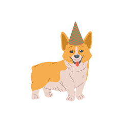 Dog breed pembroke welsh corgi, purebred pet in holiday canine hat, cute animal.