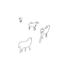 sheeps  one line vector illustration
