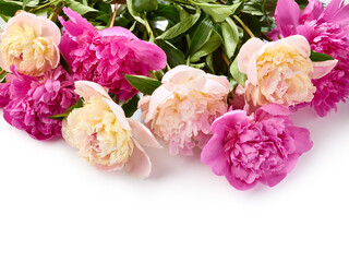 Bouquet of peony flowers over white background